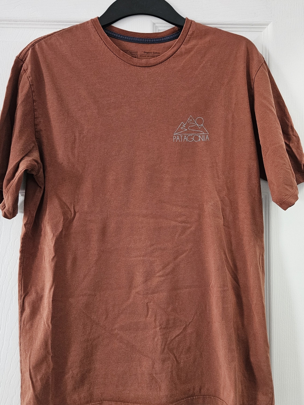 Patagonia Men's Fox Red Organic T-shirt
